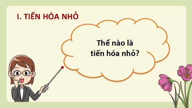 Giáo án PowerPoint Sinh học 12 Chân trời sáng tạo 