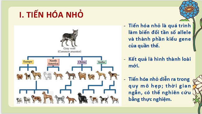 Giáo án PowerPoint Sinh học 12 Chân trời sáng tạo 