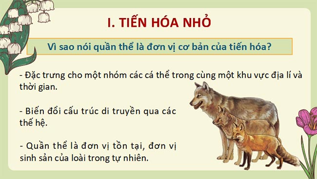 Sinh 12 CTST HK2 6*693114