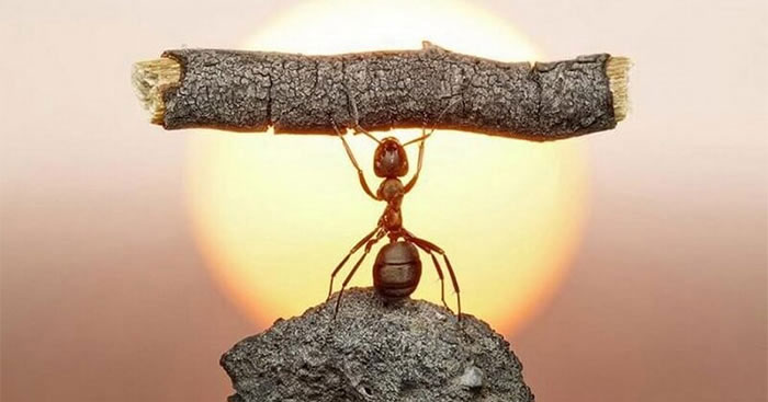 Tọa đàm về chủ đề: Kiên trì, chăm chỉ chìa khóa của thành công