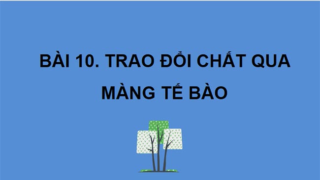 Trao đổi chất qua màng tế bào