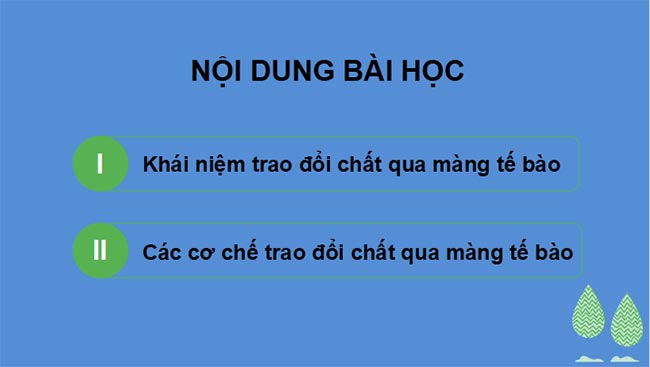 Trao đổi chất qua màng tế bào