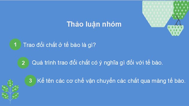 Trao đổi chất qua màng tế bào