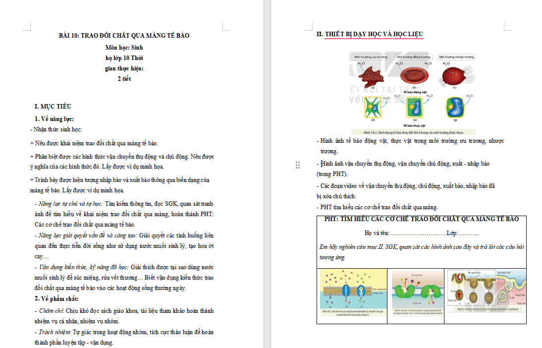 Giáo án PowerPoint Sinh học 10 Bài 10 Kết nối tri thức