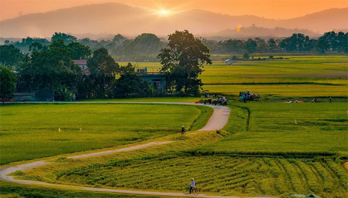 Cảnh đẹp quê em