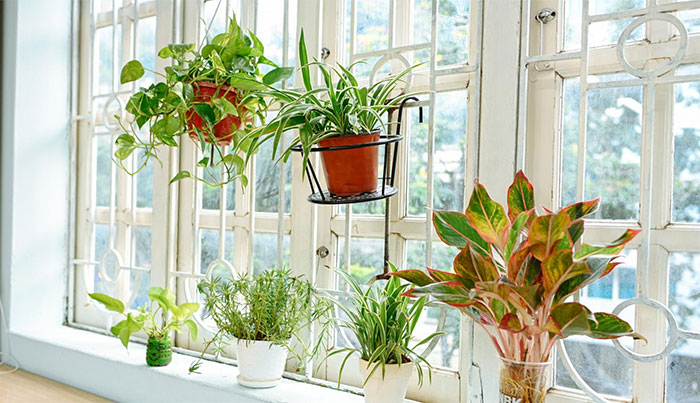 Chia sẻ khó khăn với khuyết tật