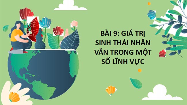 Chuyên đề học tập Sinh học 12 Chân trời sáng tạo