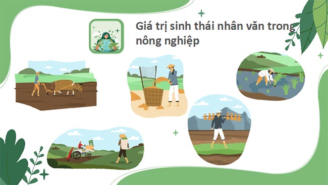 Chuyên đề học tập Sinh học 12 Chân trời sáng tạo