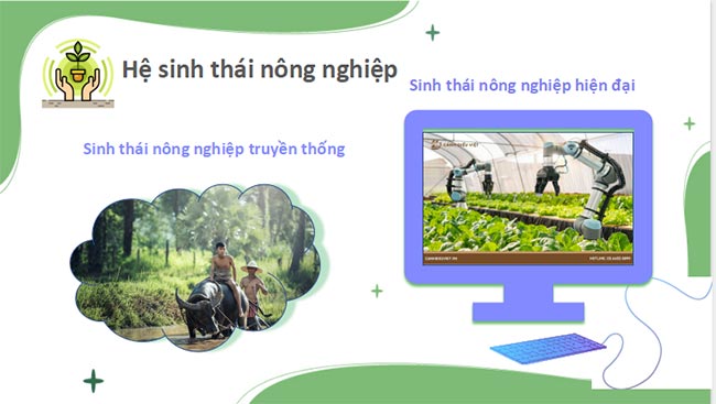 Chuyên đề học tập Sinh học 12 Chân trời sáng tạo