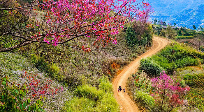 Thi đua giữ gìn trường, lớp sạch, đẹp