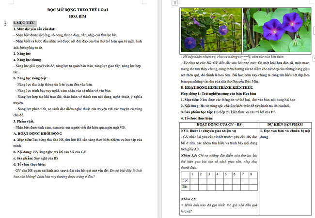 Giáo án Văn 6 Bài 3: Hoa bìm