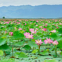 Giáo án PowerPoint Ngữ văn 6 Bài 3: Đồng Tháp Mười mùa nước nổi