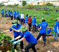 Giáo án Sinh hoạt dưới cờ lớp 3 tuần 29: Cuộc sống xanh