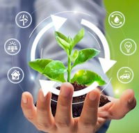 Giáo án Sinh hoạt lớp 6 tuần 29: Phát triển bền vững