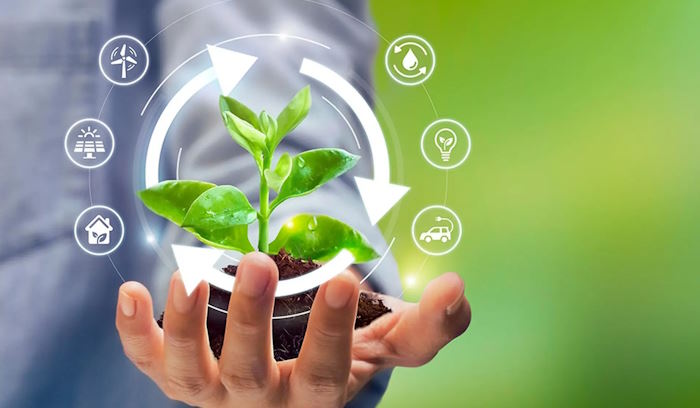 Phát triển bền vững tuần 29