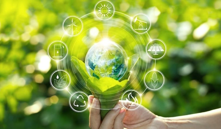 Phát triển bền vững tuần 31