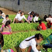 Giáo án Sinh hoạt dưới cờ lớp 3 tuần 32: Những người sống quanh em và nghề em yêu thích