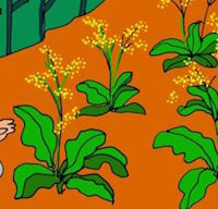 Giáo án Sinh hoạt dưới cờ lớp 3 tuần 33: Những người sống quanh em và nghề em yêu thích