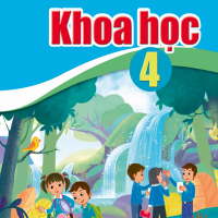 Đề thi giữa học kì 1 môn Khoa học 4 năm 2025 - 2026 sách Cánh diều