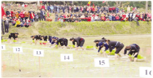 Lịch sử - Địa lí 4