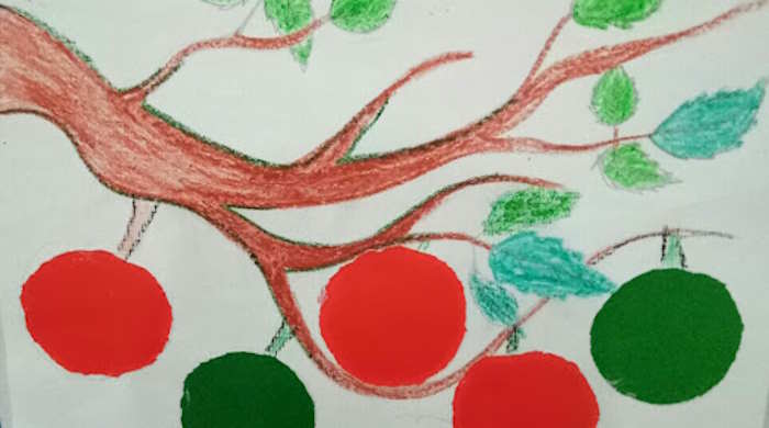 Đảm bảo an toàn trong một số tình huống và thiên tai