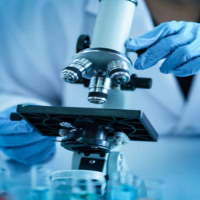 Bộ đề thi giữa học kì 1 môn Khoa học 4 năm 2025 - 2026 (Sách mới)