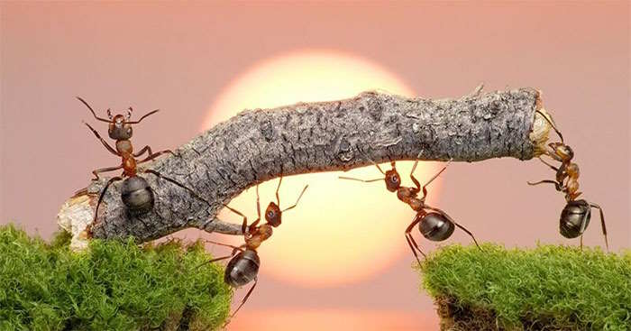 Chia sẻ bài viết về một người thành đạt trong cuộc sống nhờ tính kiên trì và sự chăm chỉ