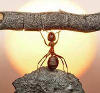 Giáo án Sinh hoạt lớp 7 tuần 15: Rèn luyện bản thân