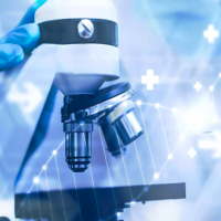 Đề thi giữa học kì 1 môn Khoa học 5 năm 2025 - 2026 sách Chân trời sáng tạo