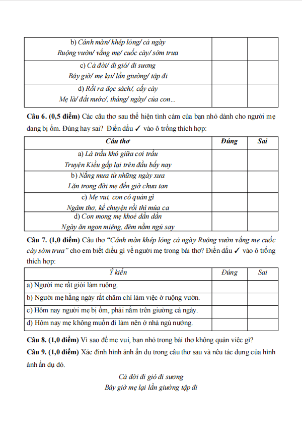 de thi giua ki 1 van 6 canh dieu theo cv 7991 de 2 h3*700736