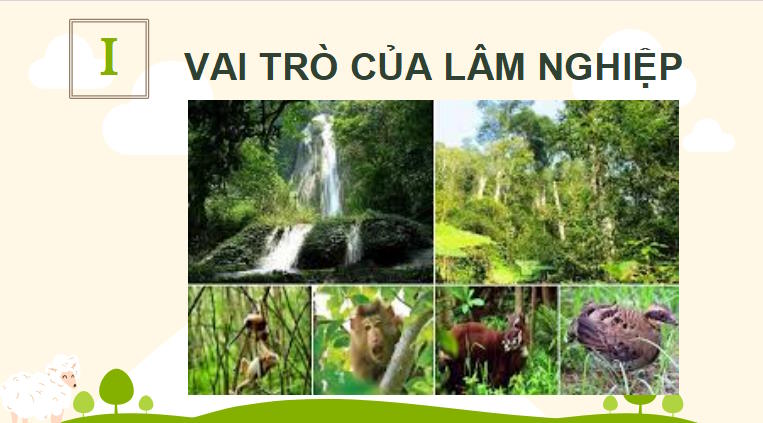  PowerPoint Công nghệ 12 Lâm nghiệp Thủy sản 