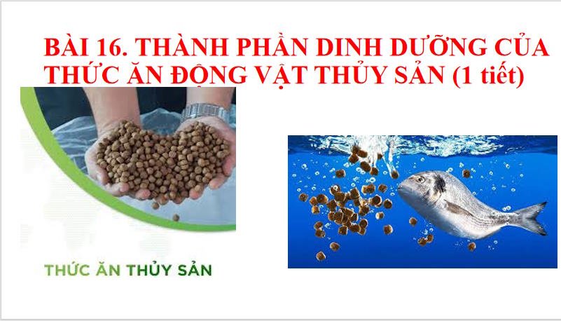 Cong nghe 12 HK2 1*701102