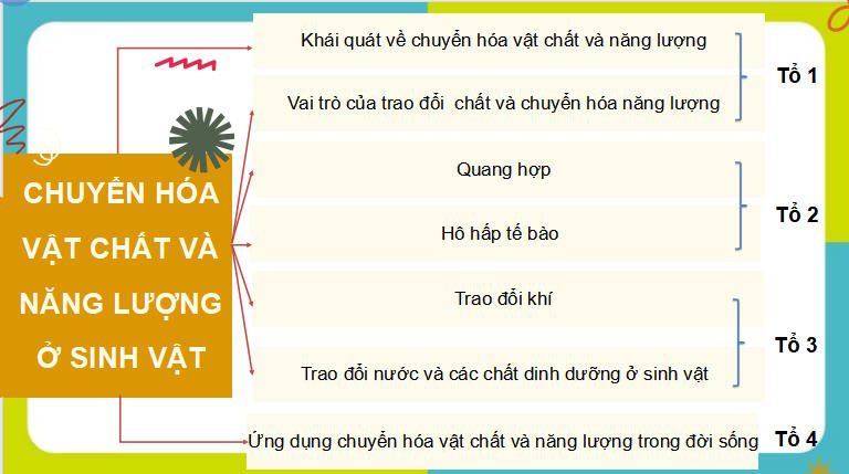 PowerPoint Khoa học tự nhiên 7 Ôn tập chủ đề 7