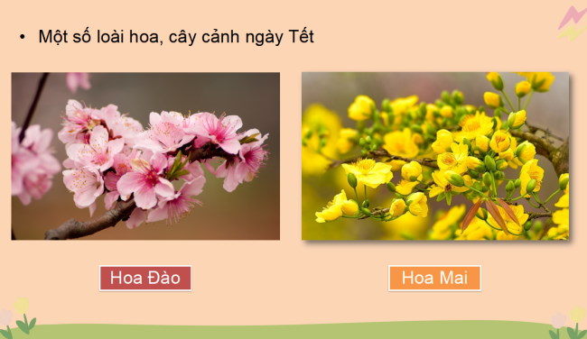 Giáo án PowerPoint Công nghệ 4 sách Cánh diều