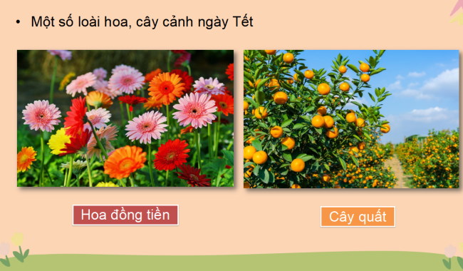 Giáo án PowerPoint Công nghệ 4 sách Cánh diều