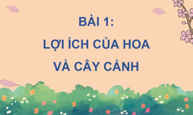 Giáo án PowerPoint Công nghệ 4 sách Cánh diều