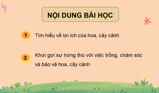 Giáo án PowerPoint Công nghệ 4 sách Cánh diều