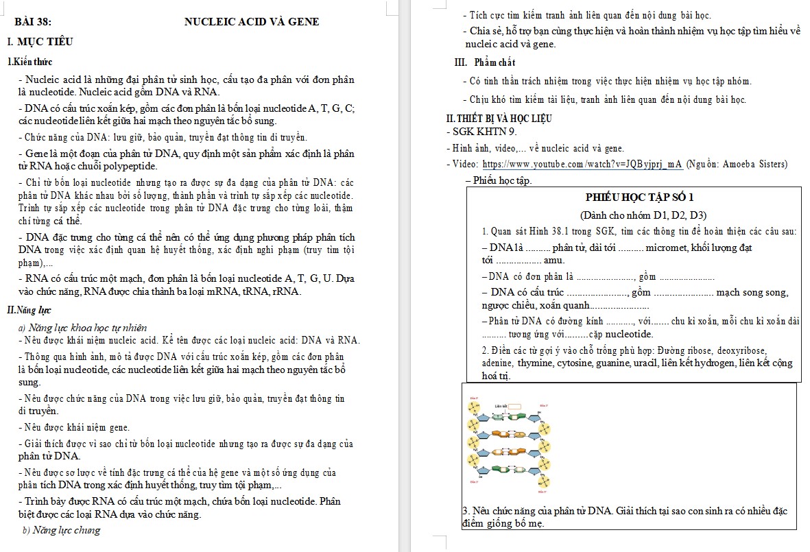 Giáo án Khoa học tự nhiên 9 KNTT Bài 38