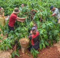 Giáo án Sinh hoạt lớp 6 tuần 10 chủ đề 3: Thầy cô - Người bạn đồng hành