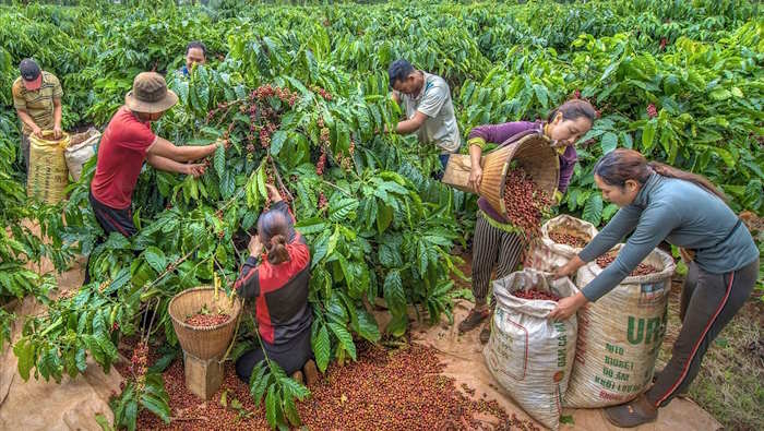 Thu hoạch của cá nhân