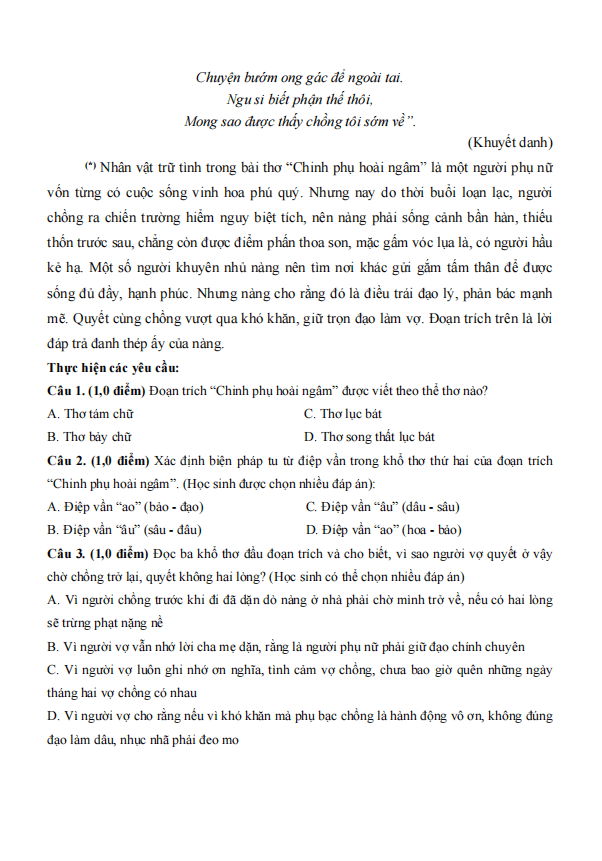 de thi giua ki 1 van 9 canh dieu theo cv 7991 de2 h2 1*702882