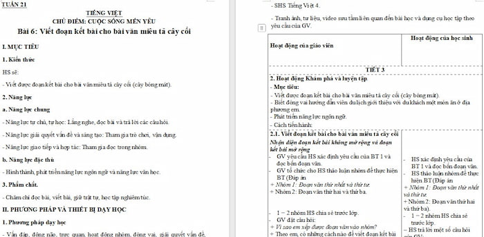 Giáo án Tiếng Việt 4: Viết đoạn kết bài cho bài văn miêu tả cây cối