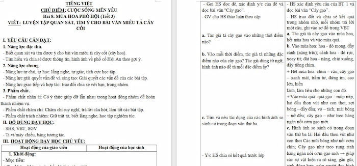 Giáo án Tiếng Việt 4: Luyện tập quan sát, tìm ý cho bài văn miêu tả cây cối