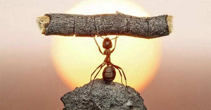 Xây dựng kế hoạch học tập theo hứng thú