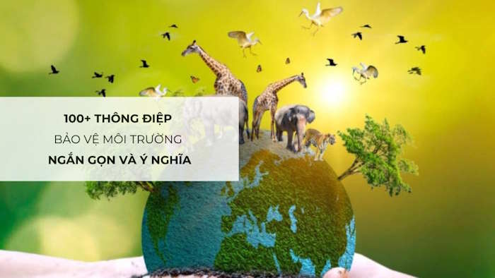 Thông điệp về chủ đề Bảo tồn cảnh quan thiên nhiên