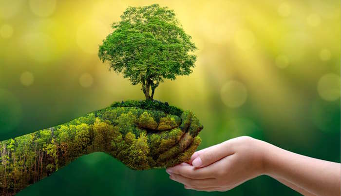 Đại sứ môi trường xanh