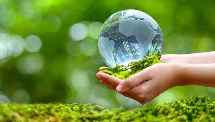 Tổng kết phong trào Đại sứ môi trường xanh