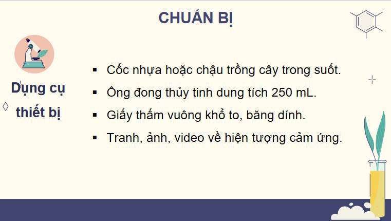 Thực hành Cảm ứng ở thực vật