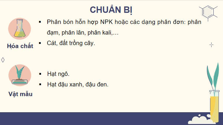 Thực hành Cảm ứng ở thực vật