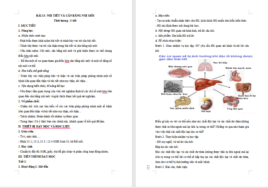 Giáo án PowerPoint Sinh học 11 Bài 13